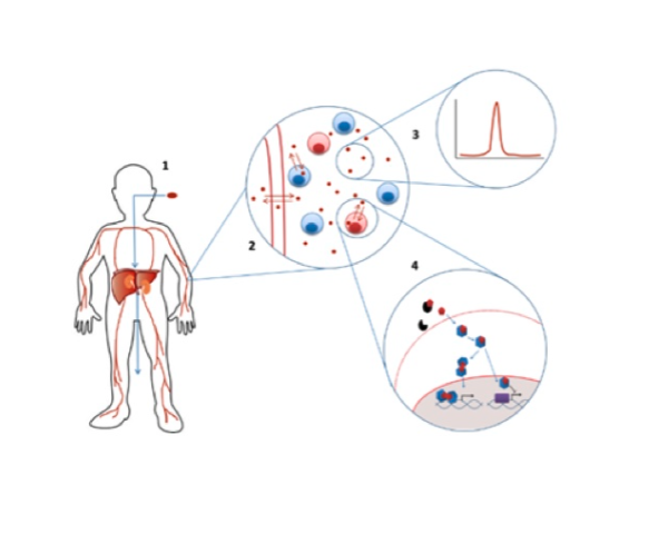 Therapeutic drug monitoring